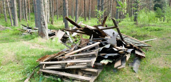 Debris Removal Service in Fairfax