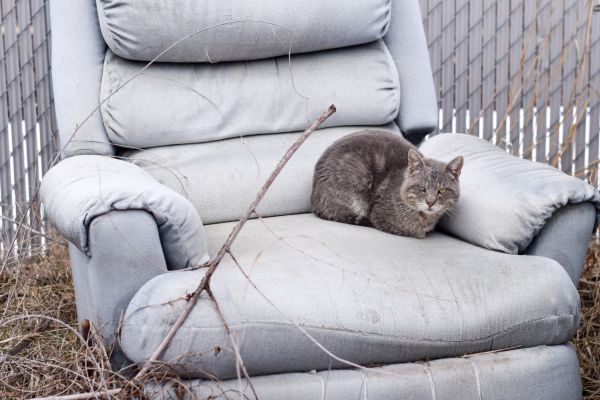 Recliner Disposal in Fairfax